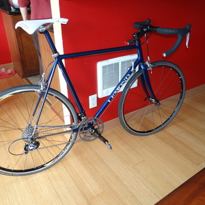 1996 LeMond Racing Cycles Blue