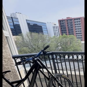 2015 Specialized Specialized Black