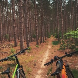 2021 Trek Marlin 7 gen 3 Red