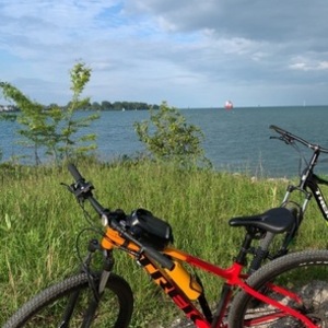 2021 Trek Marlin 7 gen 3 Red