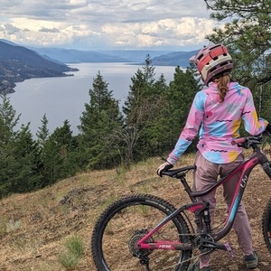 2015 Liv Hail Purple