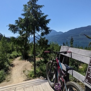 2015 Liv Hail Purple