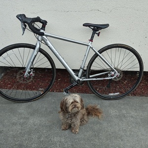 2016 Trek Crossrip Comp Silver, gray or bare metal