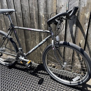 1990 Diamondback Topanga