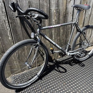 1990 Diamondback Topanga Silver, gray or bare metal