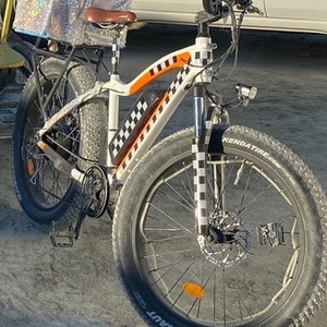 2018 Rad Power Bikes Rad Rover Fat Tire Orange and White