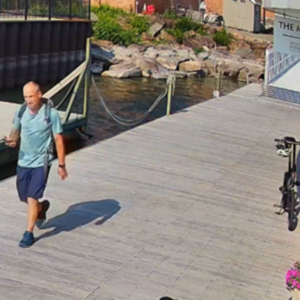 2025 Gocycle G3CW Silver, gray or bare metal and Black