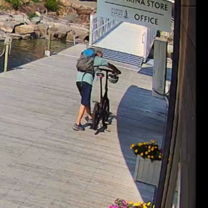 2021 Gocycle G3CW Silver, gray or bare metal and Black