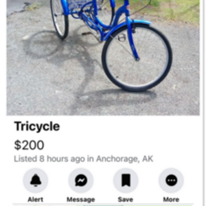 2015 Schwinn meridian tricycle Black