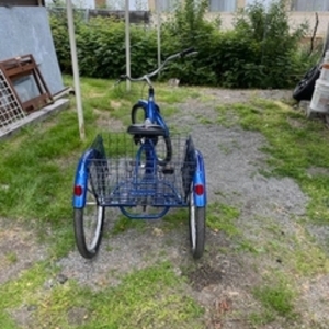 2015 Schwinn meridian tricycle Black