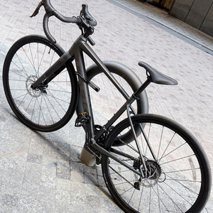 Trek Domane AL 2 Lithium Silver, gray or bare metal