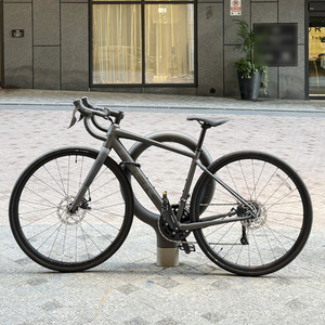 Trek Domane AL 2 Lithium Silver, gray or bare metal