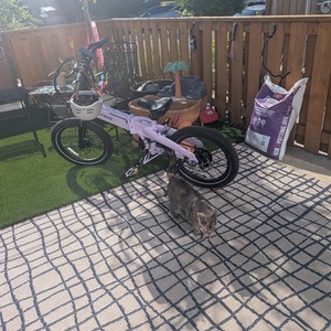 2025 Lectric eBikes XP Lite 2 Purple