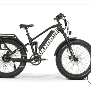 2021 Vamoose cycles Odin Black