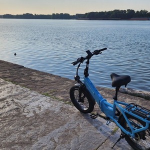2025 Lectric eBikes Xp4 Step Thru