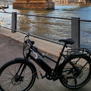 Rad Power Bikes Radmission 1