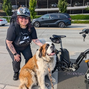 Rad Power Bikes RadExpand 5 Black