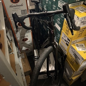 2024 Giant Revolt Red