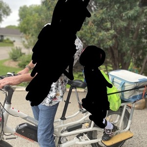 2021 Rad Power Bikes Radwagon 4 cargo bike rear White