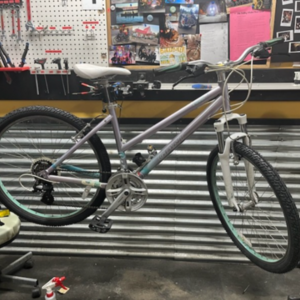 Giant Revel 3 W