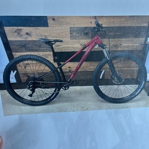 2020 Rocky Mountain Bicycles Growler XLarge Black