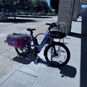 2025 Benno 46er Blue, Red, and Black