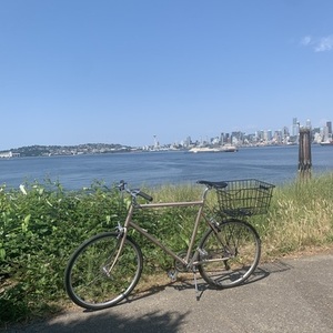 2020 Tokyobike Sport Yellow or Gold