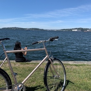 2020 Tokyobike Sport Yellow or Gold