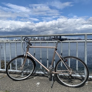 2020 Tokyobike Sport Yellow or Gold