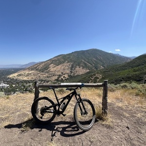 2020 SWorks Stunt Jumper Black