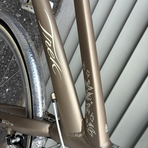 2025 Trek 7.3 FX WSD Silver, gray or bare metal