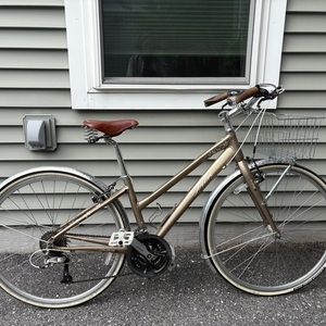 2025 Trek 7.3 FX WSD Silver, gray or bare metal