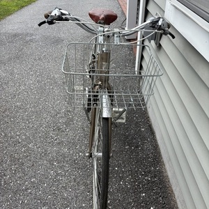 2025 Trek 7.3 FX WSD Silver, gray or bare metal