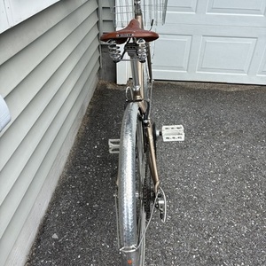 2025 Trek 7.3 FX WSD Silver, gray or bare metal