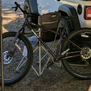 2019 Surly Krumpas