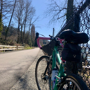 Trek Green