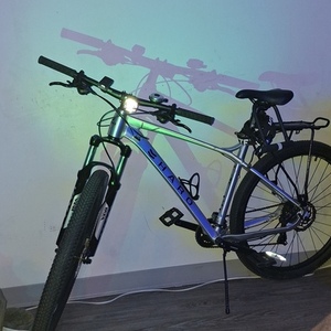 2024 Haro Large20" Silver, gray or bare metal