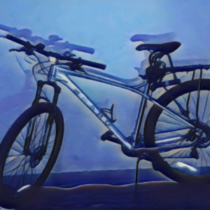 2024 Haro Large20" Silver, gray or bare metal