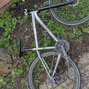 Specialized Rockhopper Silver, gray or bare metal