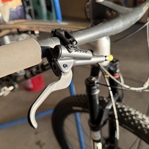 2024 Trek Supercaliber Factory Racing Silver, gray or bare metal