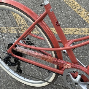 2025 Electra Pink