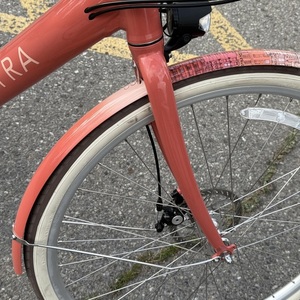 2025 Electra Pink