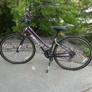 Devinci Purple
