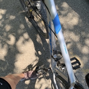 2019 Trek Merlin 4 Silver, gray or bare metal