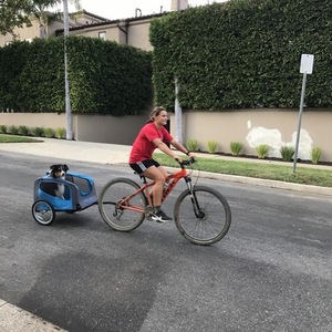 2017 Trek Marlin 7 Orange