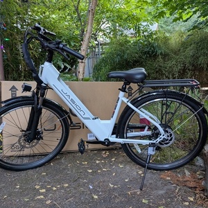 2025 Jasion EB5 Roamer ST White