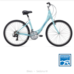 2016 Giant ALUXX-grade butted aluminum frame Teal