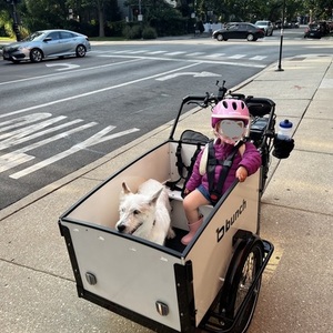 2022 Bunch Bikes Original 3.0 cargo bike