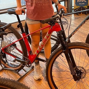 2025 Trek Procaliber 9.5 Gen 3 Red and Yellow or Gold
