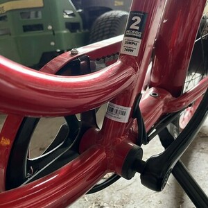 Pedego 24 inch Interceptor Step Through
